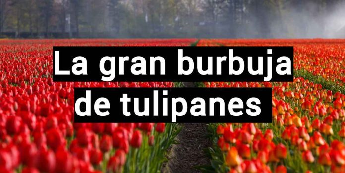 La gran burbuja de tulipanes en Holanda